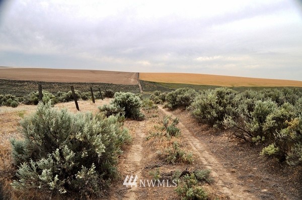 0 Laurer Road Odessa, WA 99159 - Photo 13 of 15