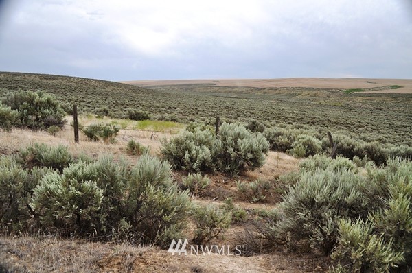 0 Laurer Road Odessa, WA 99159 - Photo 14 of 15