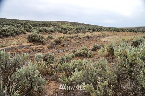 0 Laurer Road Odessa, WA 99159 - Photo 15 of 15