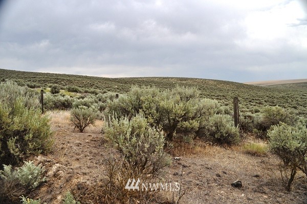 0 Laurer Road Odessa, WA 99159 - Photo 4 of 15