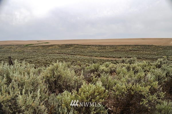 0 Laurer Road Odessa, WA 99159 - Photo 6 of 15