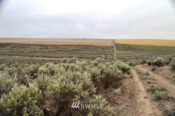0 Laurer Road Odessa, WA 99159 - Photo 7 of 15