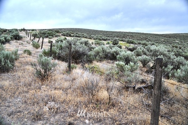 0 Laurer Road Odessa, WA 99159 - Photo 8 of 15