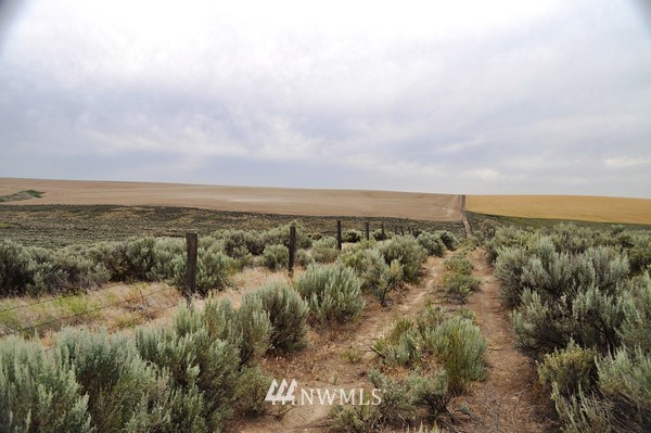 0 Laurer Road Odessa, WA 99159 - Photo 10 of 15