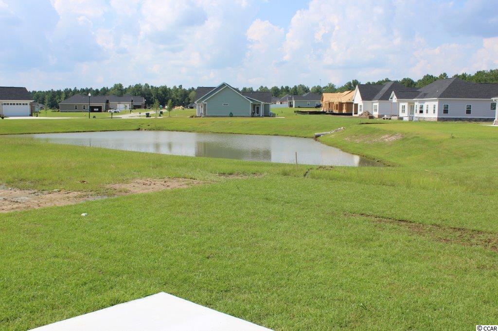4053 Ridgewood Drive Conway, SC 29526 - Photo 23 of 25 Gallery Image 23