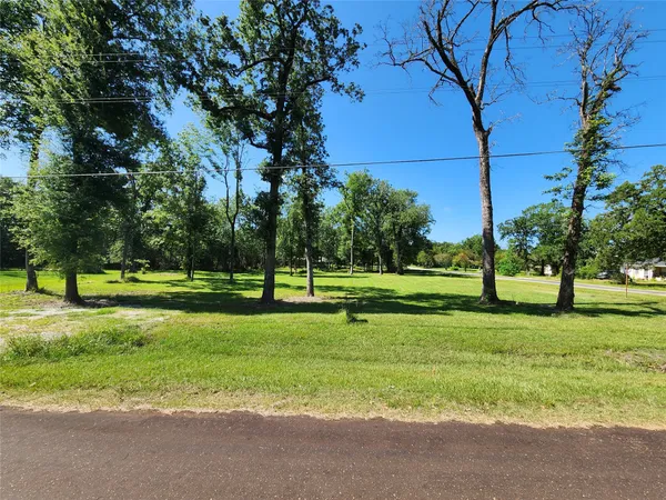 $50,000 | 0 Armadillo Rd. Drive, Trinity, TX 75862