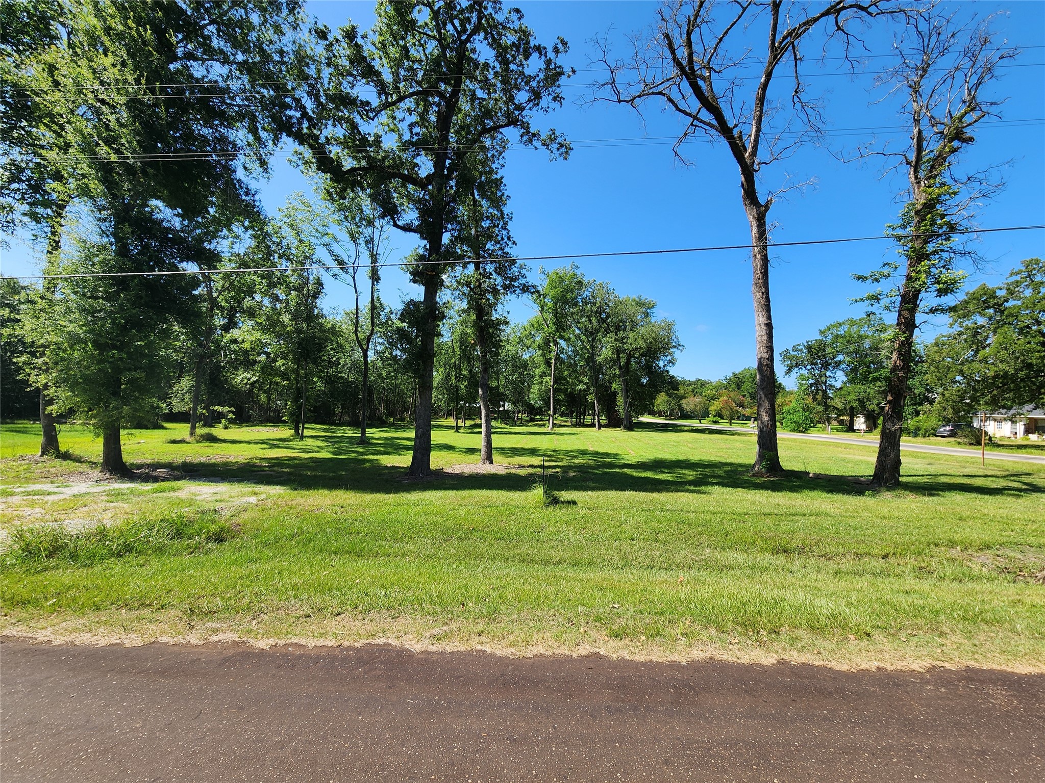 0 Armadillo Rd. Drive Trinity, TX 75862 - Photo 1 of 21 Partially Cleared and ready for your new home!