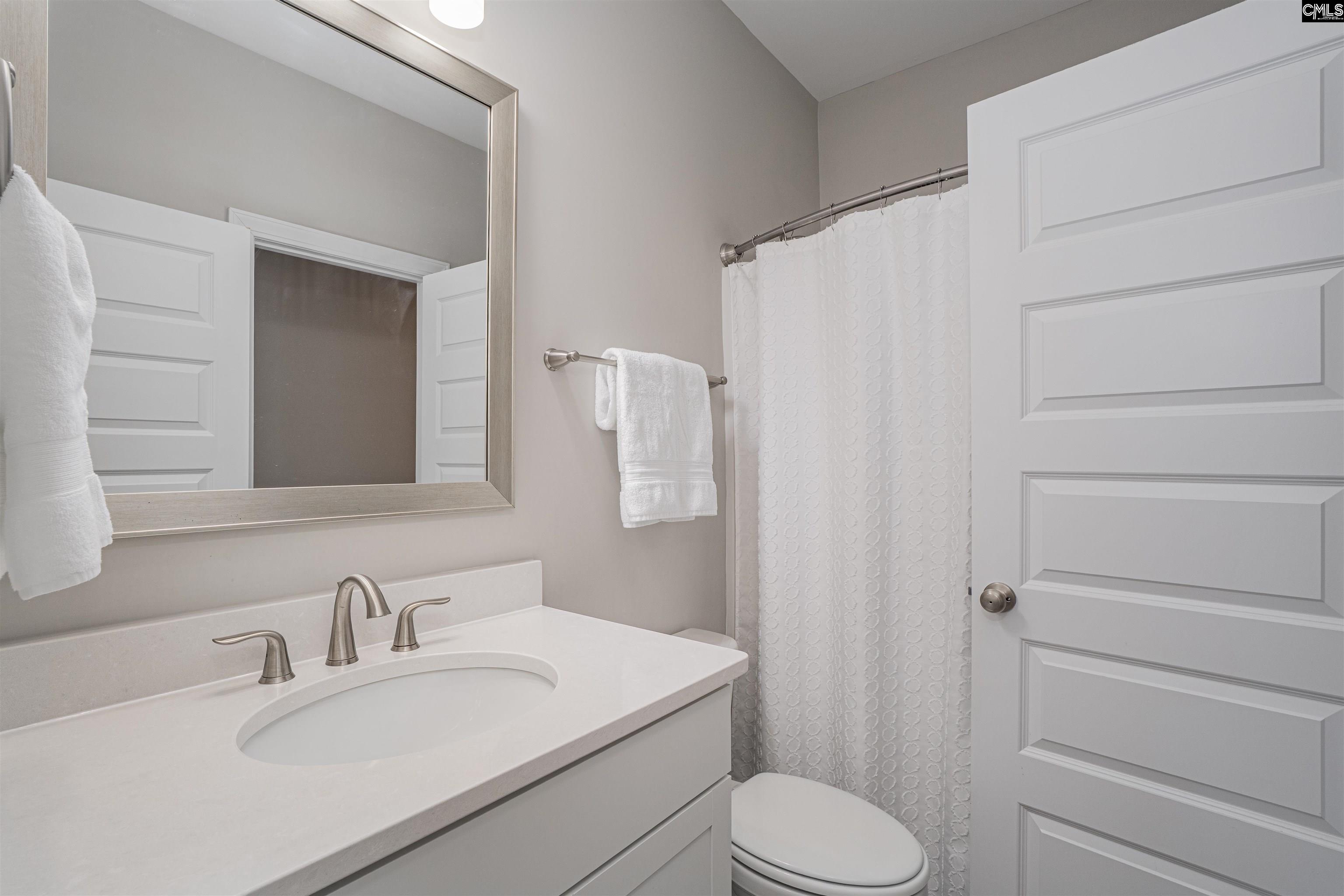 155 Almofini Lane Chapin, SC 29036 - Photo 44 of 65