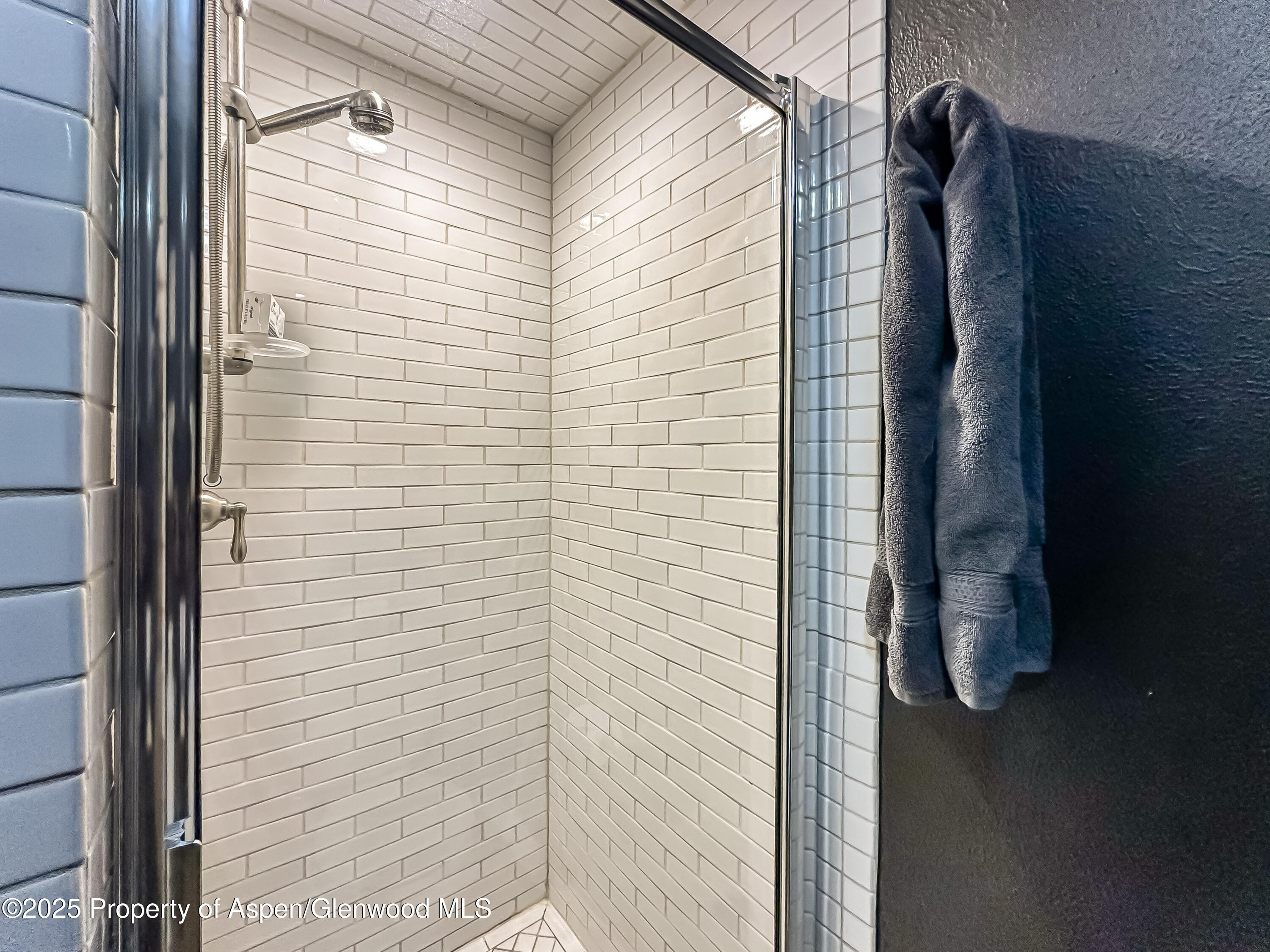 1050 Waters Avenue, Unit 9 Aspen, CO 81611 - Photo 18 of 19 a view of a bathroom