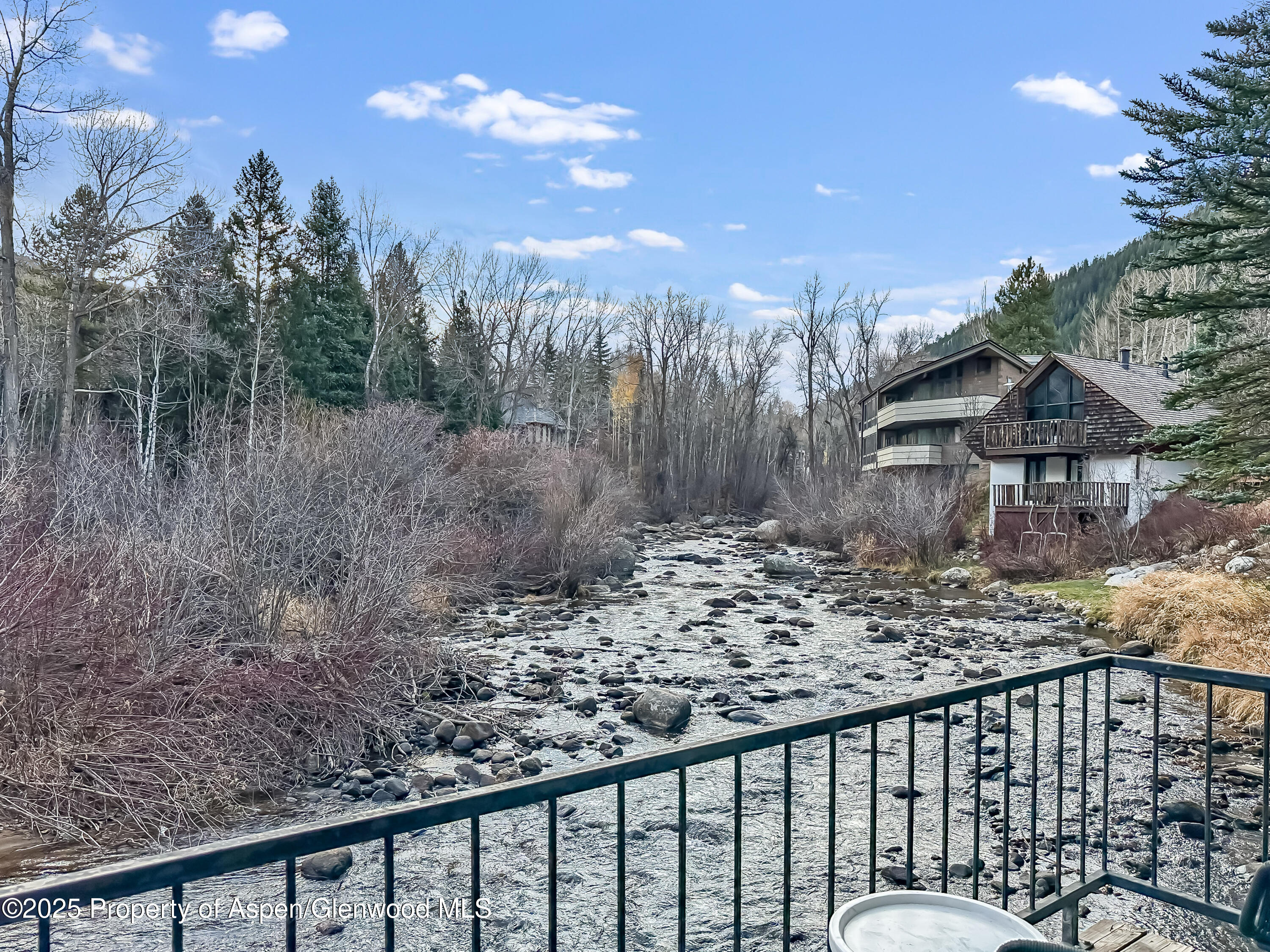 1050 Waters Avenue, Unit 9 Aspen, CO 81611 - Photo 5 of 19