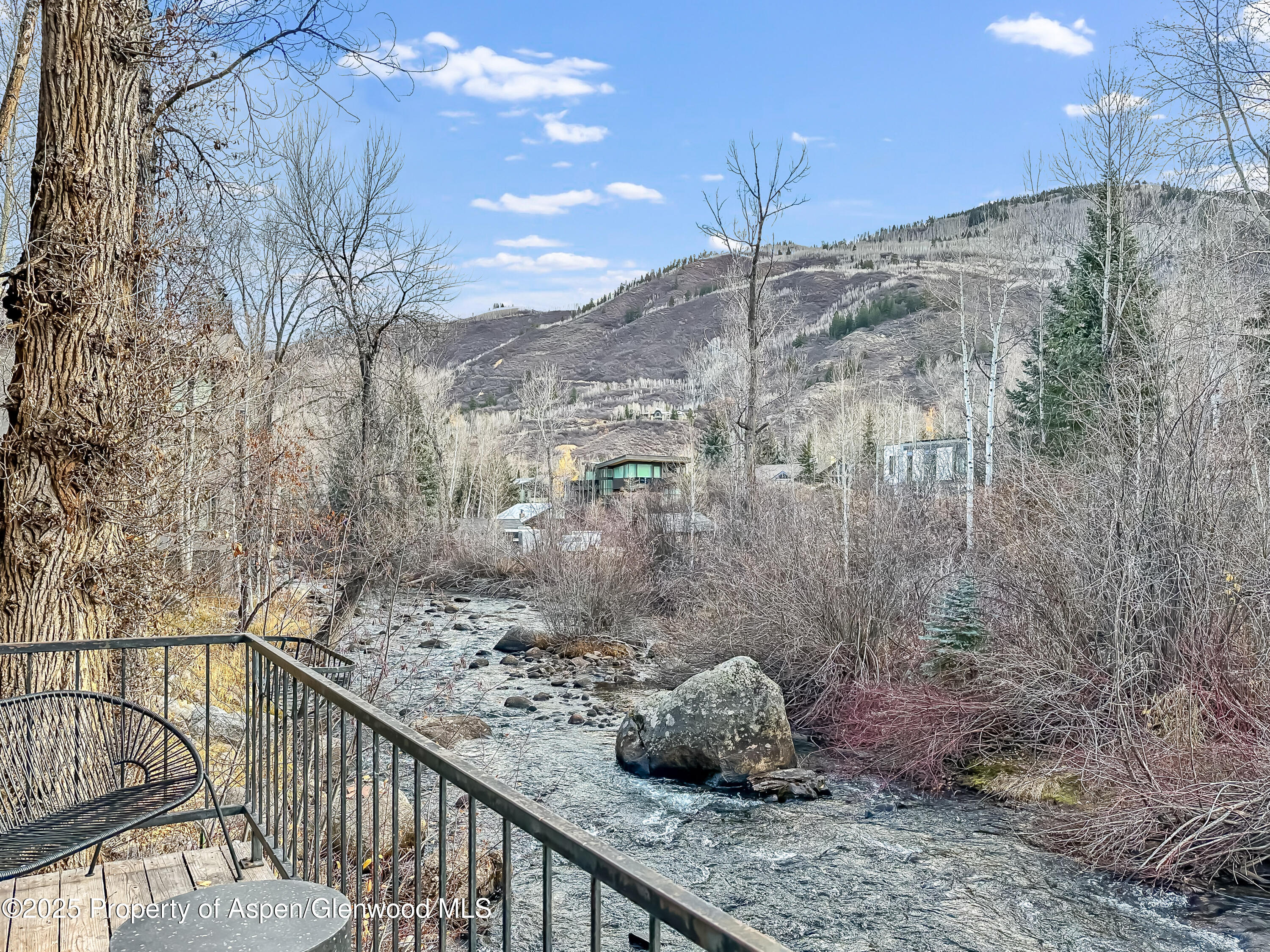 1050 Waters Avenue, Unit 9 Aspen, CO 81611 - Photo 6 of 19 a view of a outdoor space