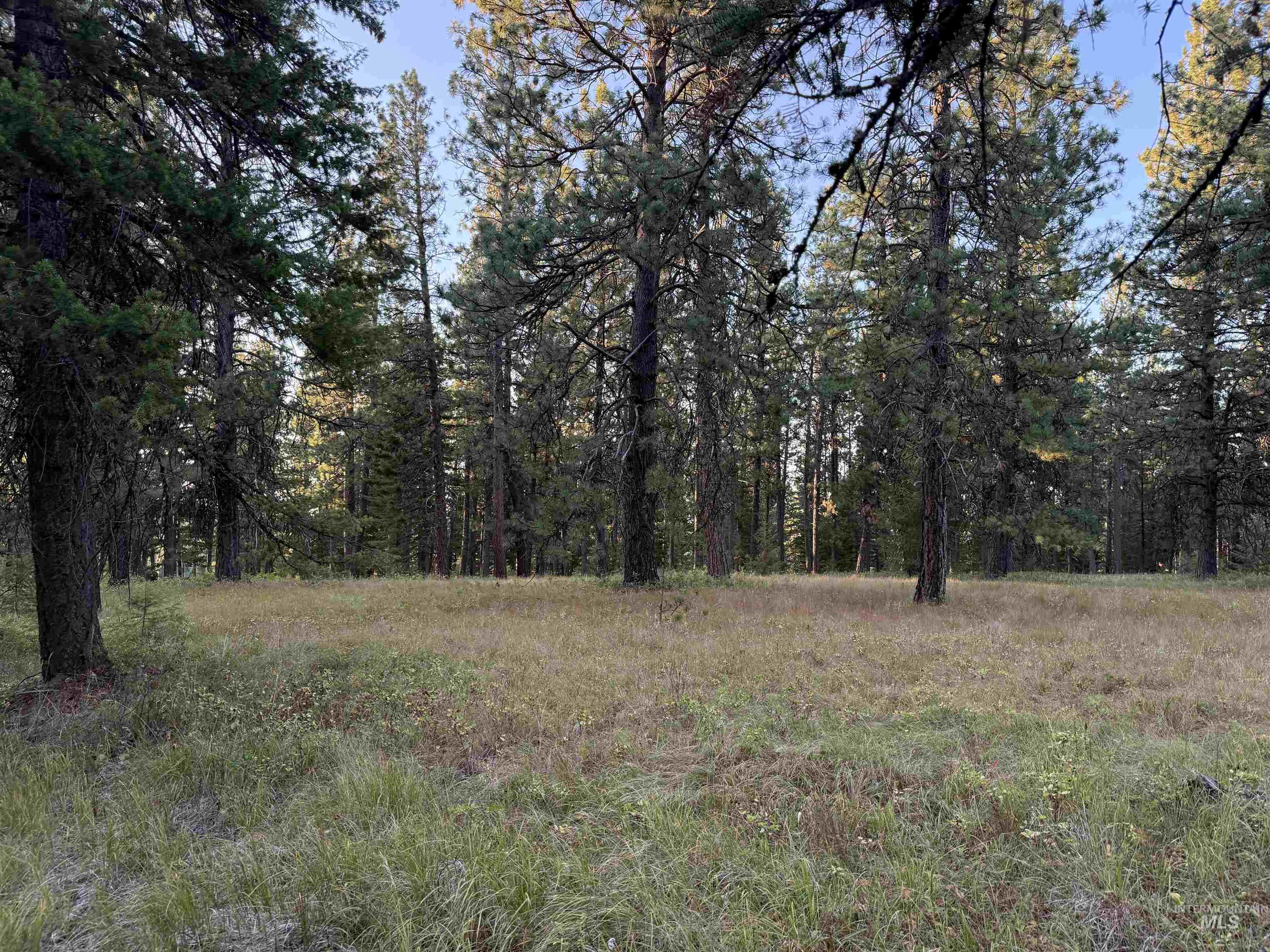 36 Asotin Wa 99402 Moscow, ID 83843 - Photo 11 of 20