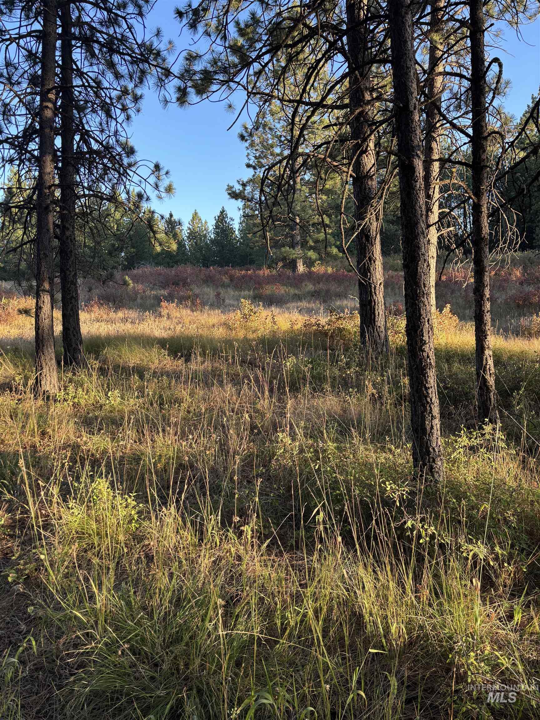 36 Asotin Wa 99402 Moscow, ID 83843 - Photo 13 of 20