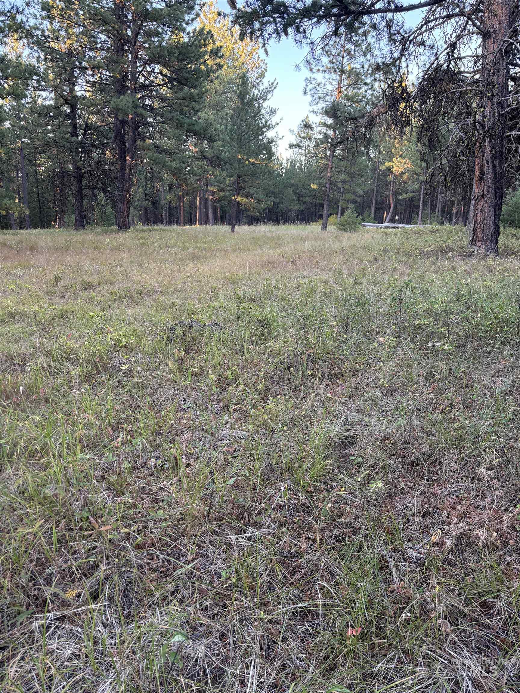 36 Asotin Wa 99402 Moscow, ID 83843 - Photo 14 of 20