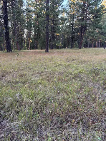 $106,000 | 36 Asotin Wa 99402, Moscow, ID 83843