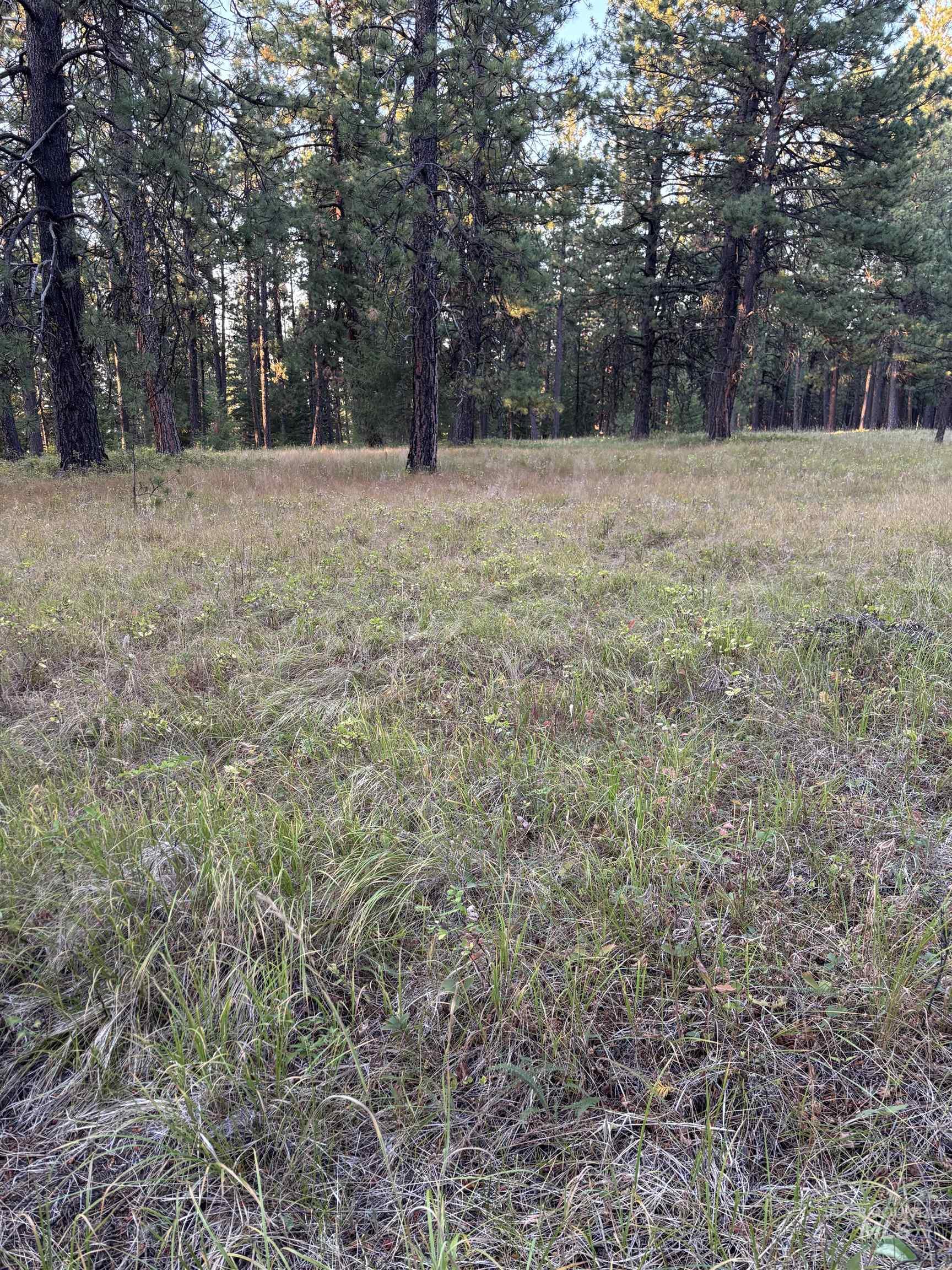 36 Asotin Wa 99402 Moscow, ID 83843 - Photo 15 of 20