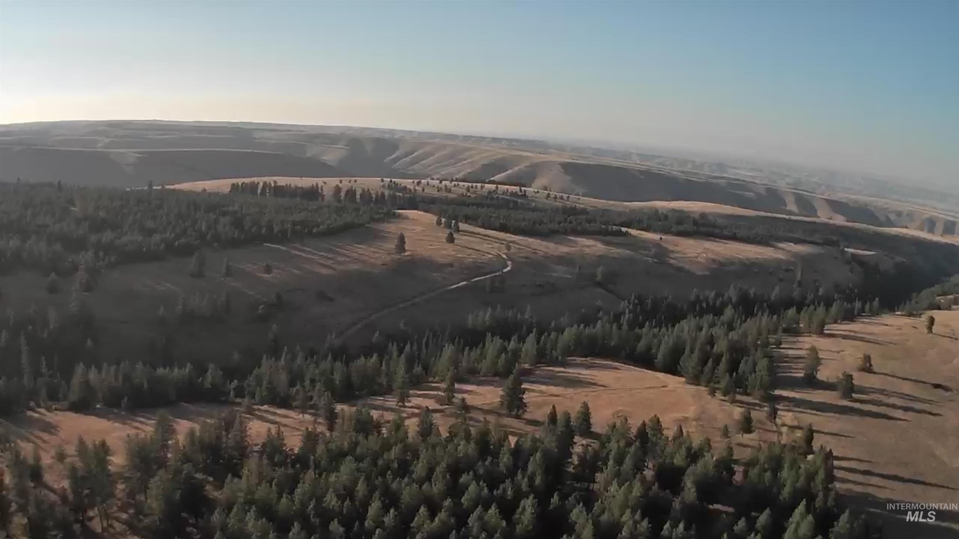 36 Asotin Wa 99402 Moscow, ID 83843 - Photo 17 of 20