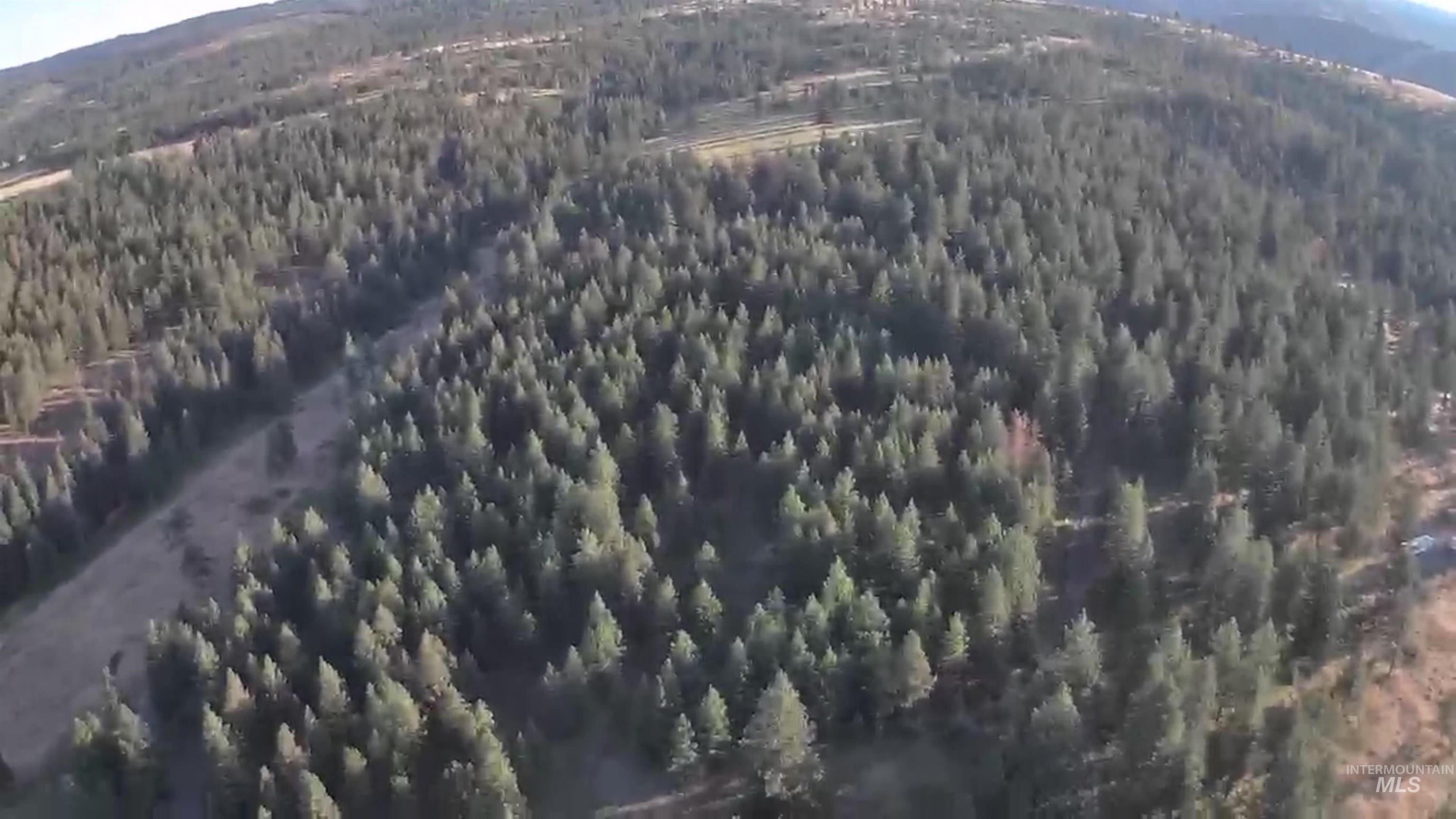 36 Asotin Wa 99402 Moscow, ID 83843 - Photo 18 of 20