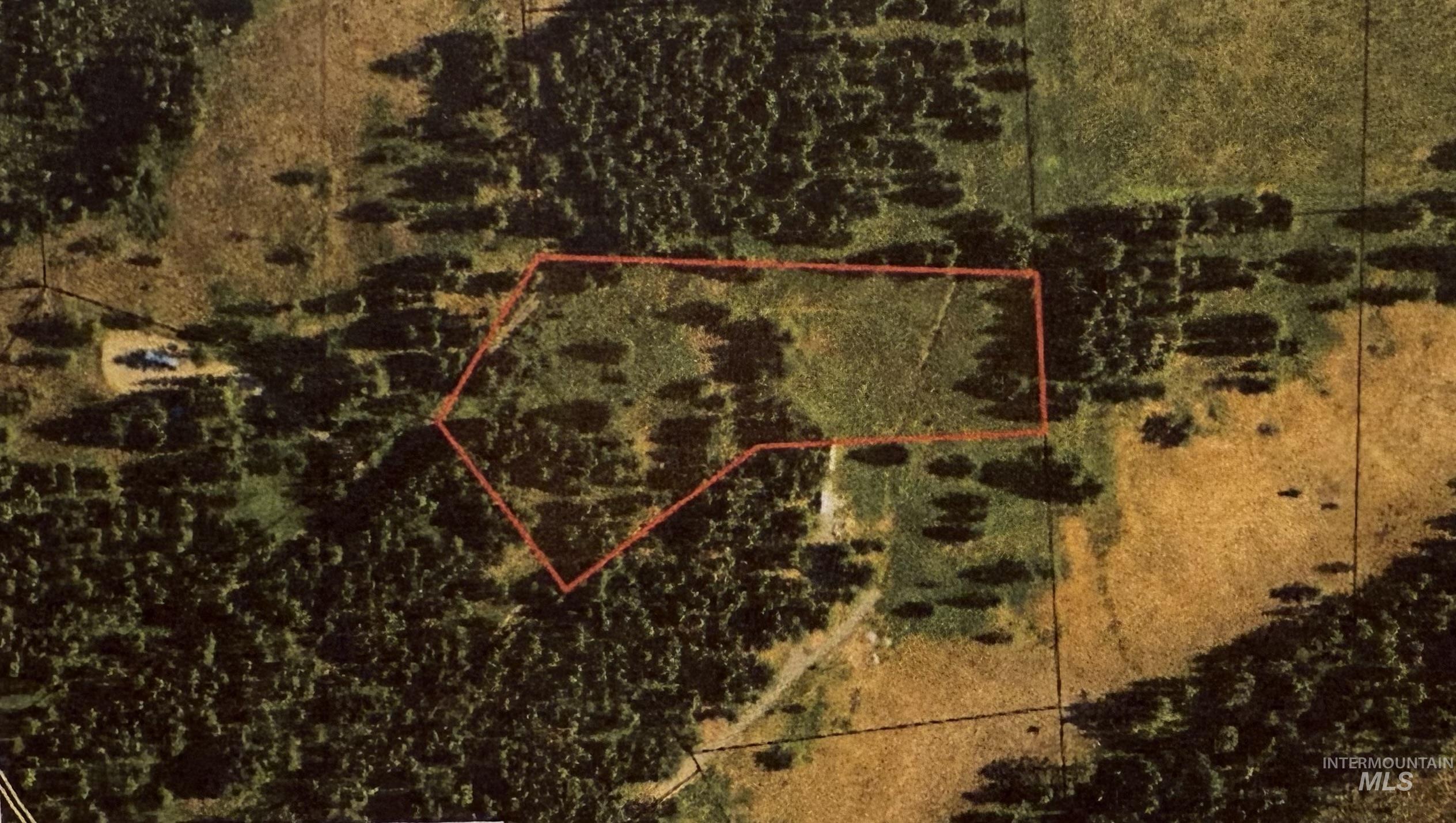 36 Asotin Wa 99402 Moscow, ID 83843 - Photo 20 of 20