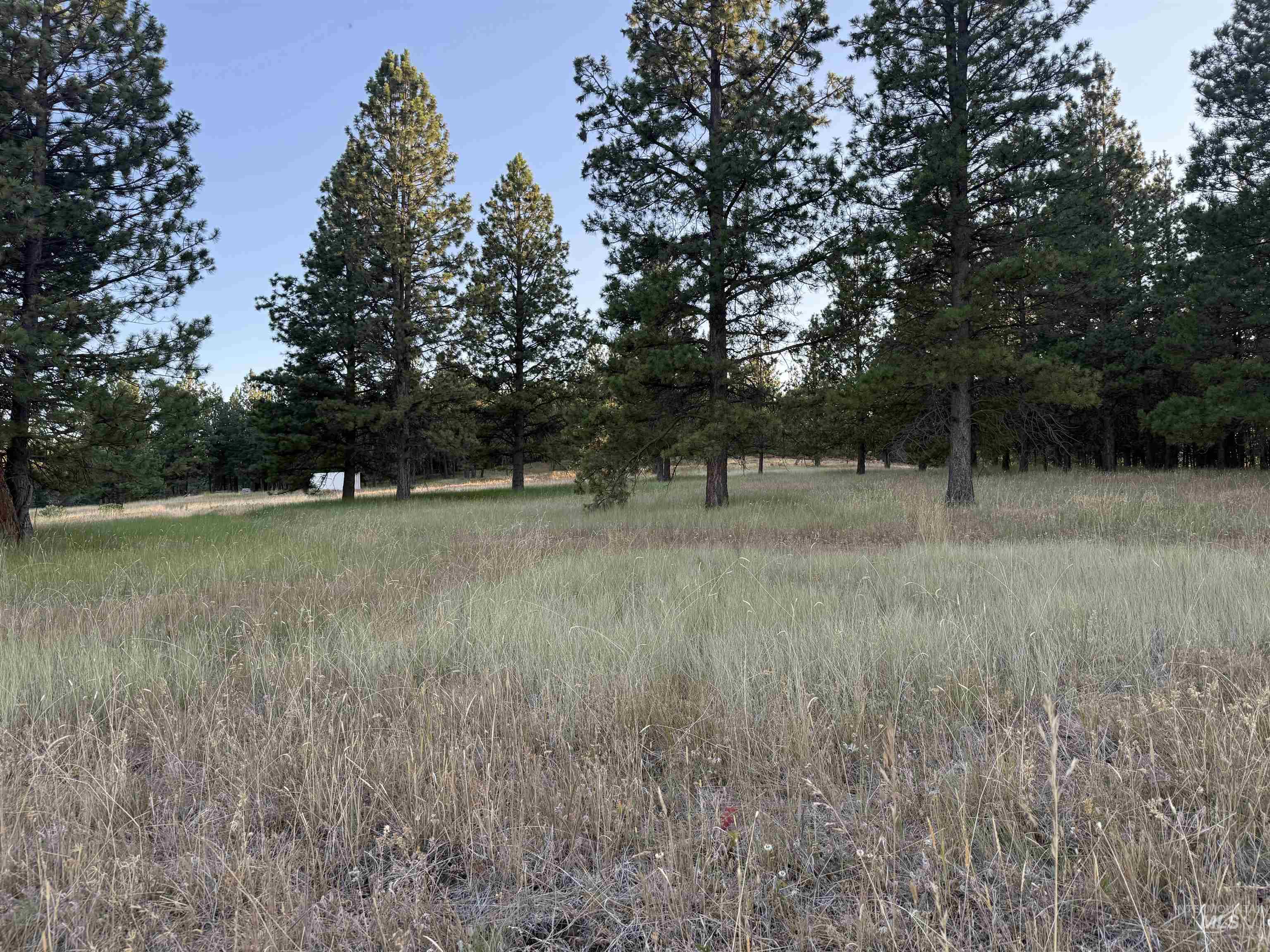 36 Asotin Wa 99402 Moscow, ID 83843 - Photo 4 of 20