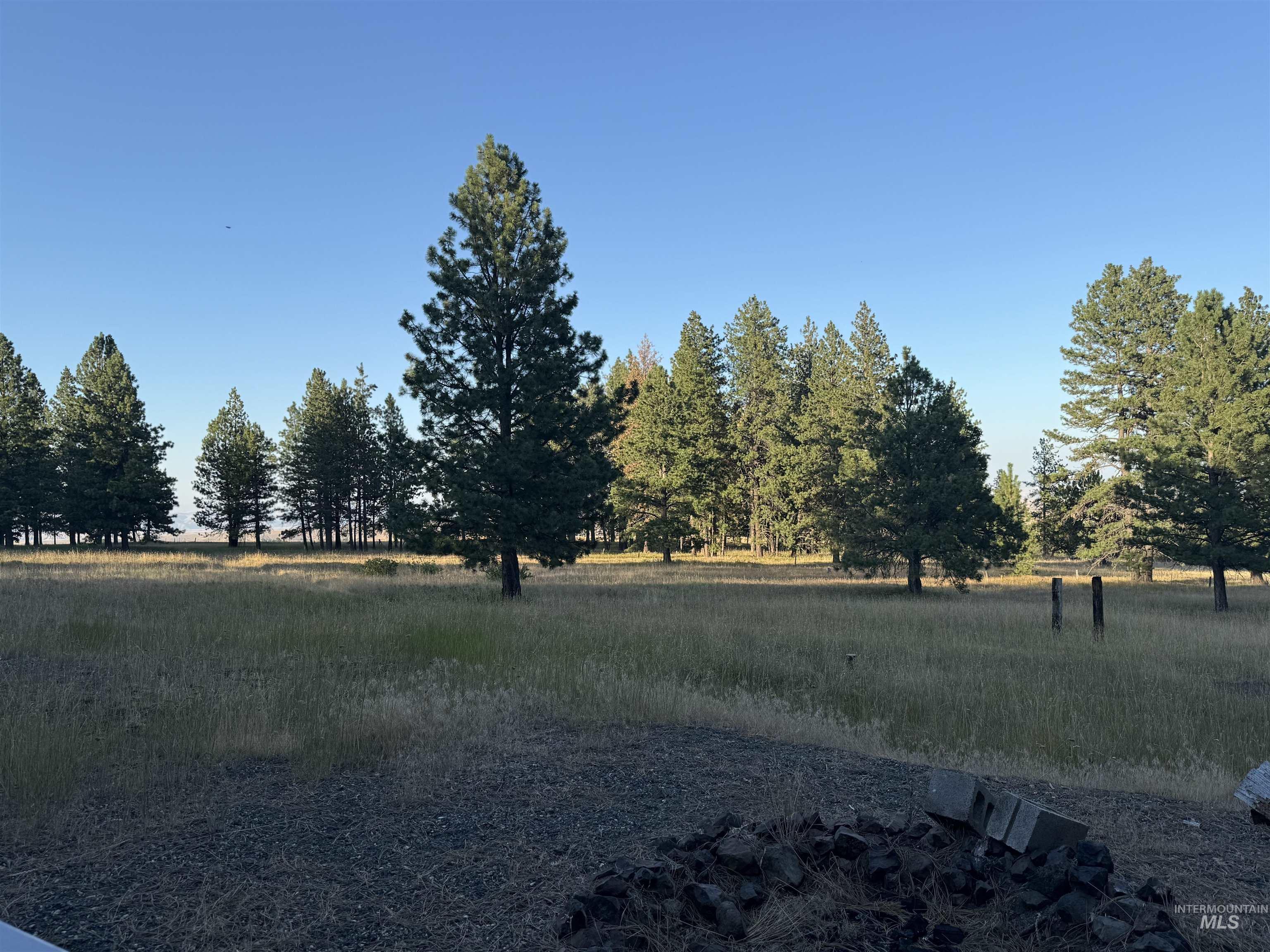 36 Asotin Wa 99402 Moscow, ID 83843 - Photo 7 of 20