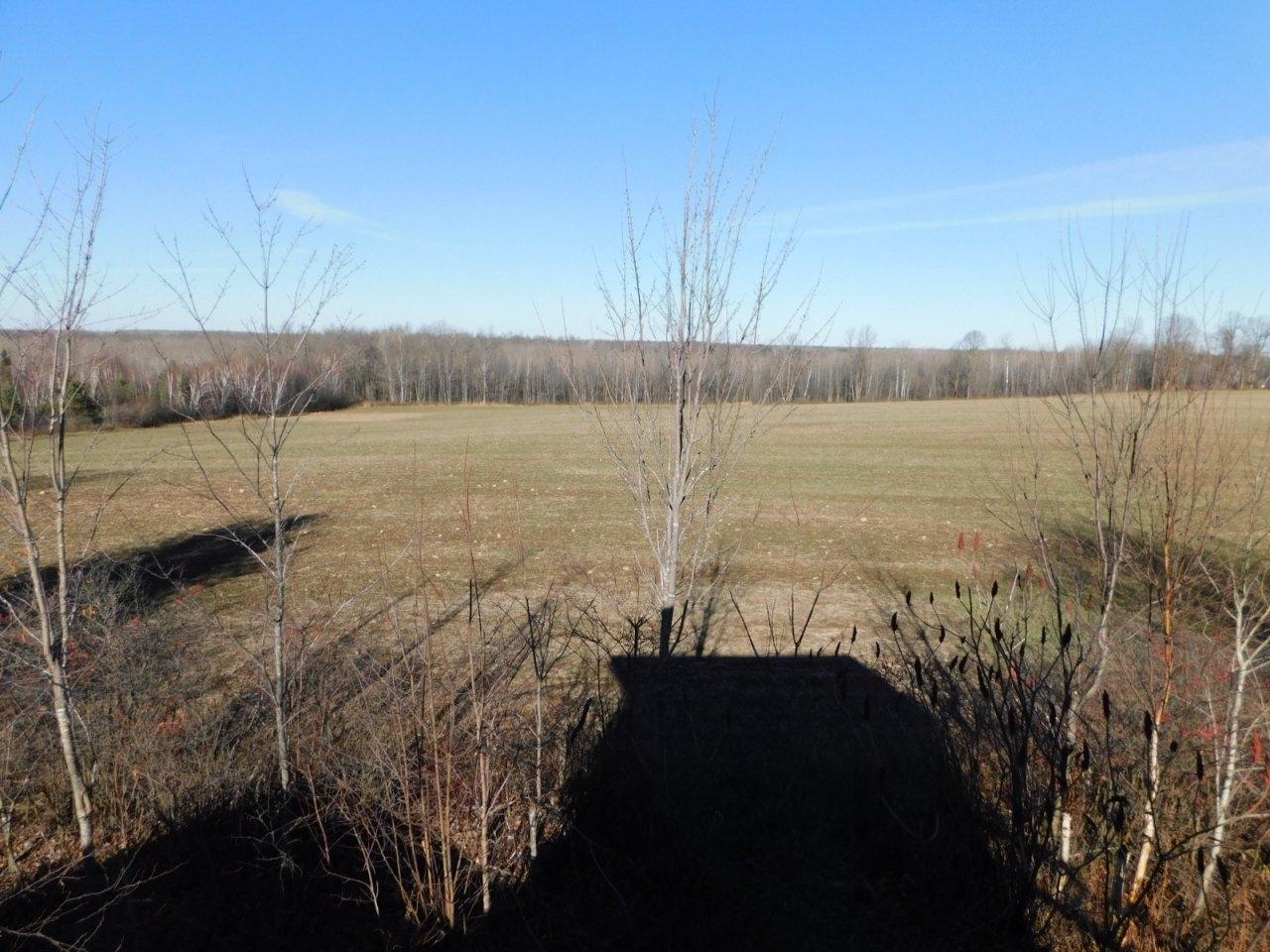 5948 Larson Road Winter, WI 54896 - Photo 23 of 30 Gallery Image 23