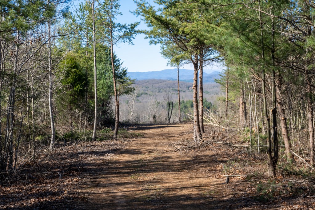 41-ac Loving Road Morganton, GA 30560 - Photo 11 of 29 a house with trees in the background