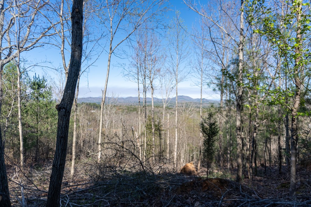 41-ac Loving Road Morganton, GA 30560 - Photo 14 of 29 a view of lake from a room