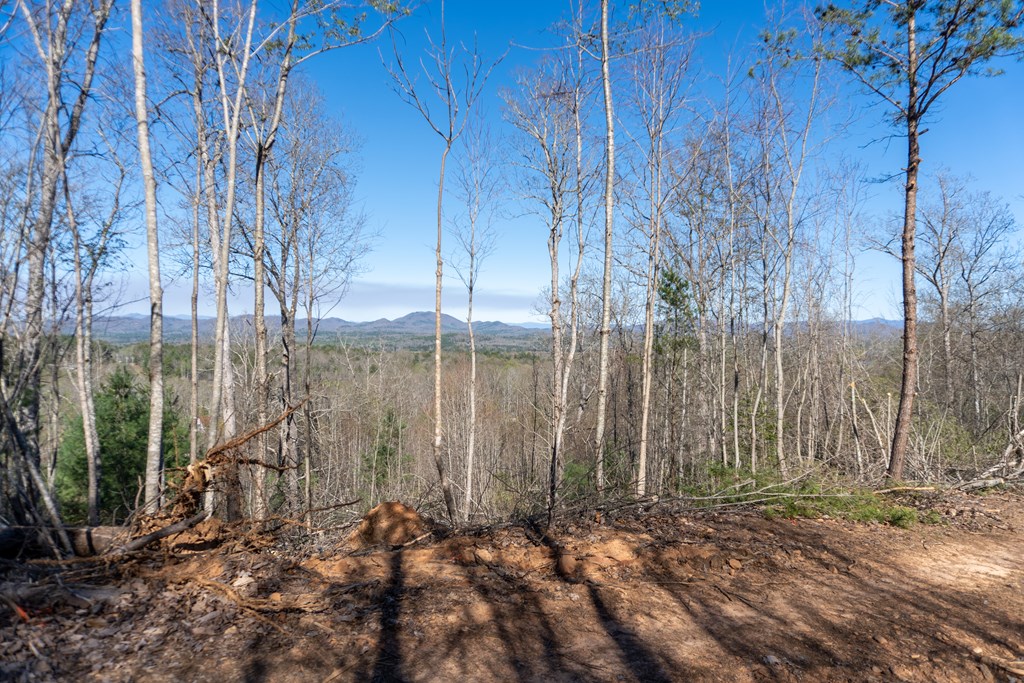 41-ac Loving Road Morganton, GA 30560 - Photo 15 of 29 a view of a backyard of the house