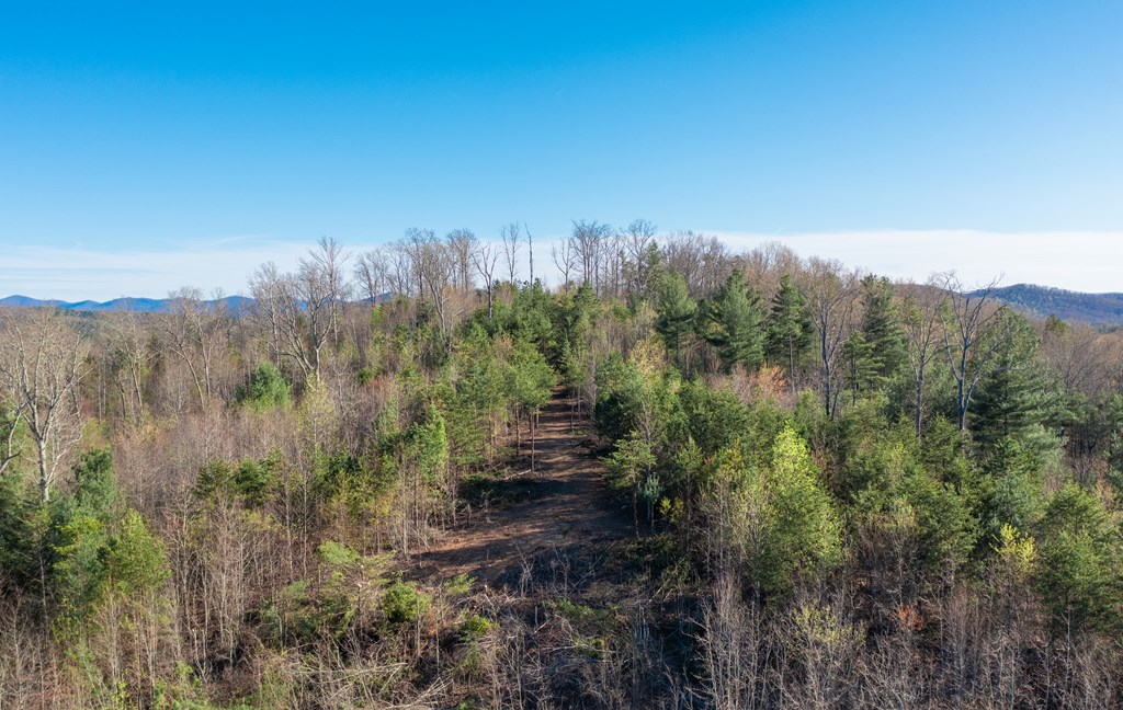 41-ac Loving Road Morganton, GA 30560 - Photo 16 of 29 a view of a green field