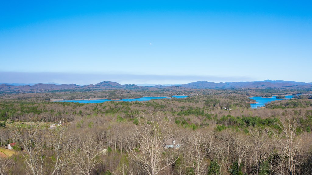 41-ac Loving Road Morganton, GA 30560 - Photo 18 of 29 a view of a lush green field with mountains in the background