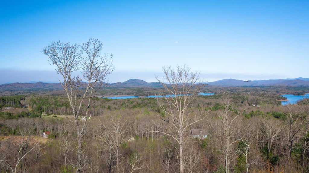 41-ac Loving Road Morganton, GA 30560 - Photo 19 of 29 a view of lake with mountain