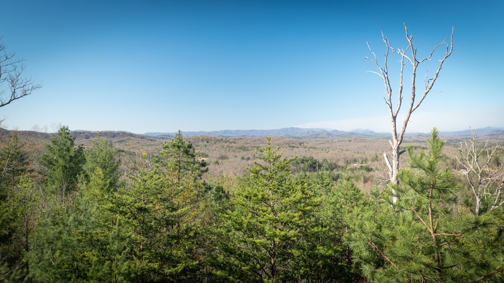 41-ac Loving Road Morganton, GA 30560 - Photo 20 of 29 a view of a city with lush green forest