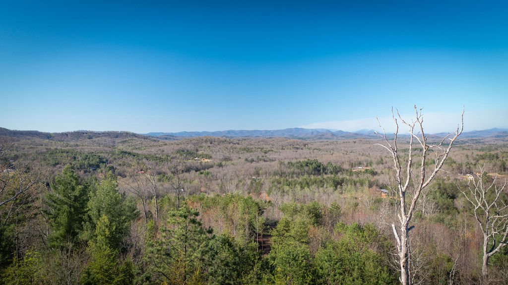 41-ac Loving Road Morganton, GA 30560 - Photo 21 of 29 a view of a forest