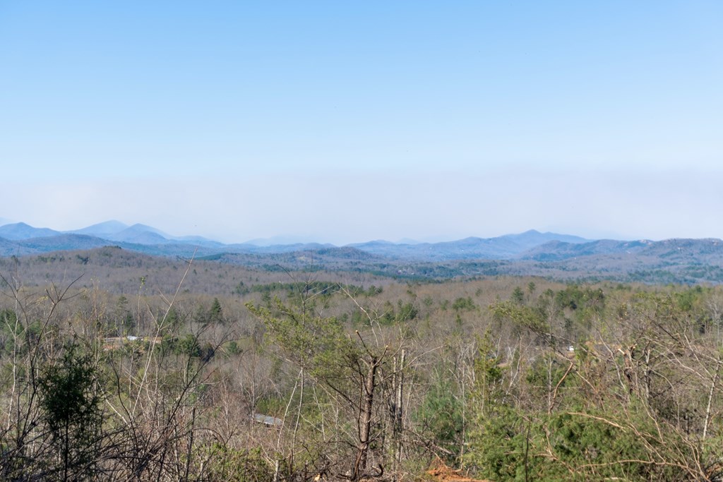 41-ac Loving Road Morganton, GA 30560 - Photo 22 of 29 a view of mountain and a forest
