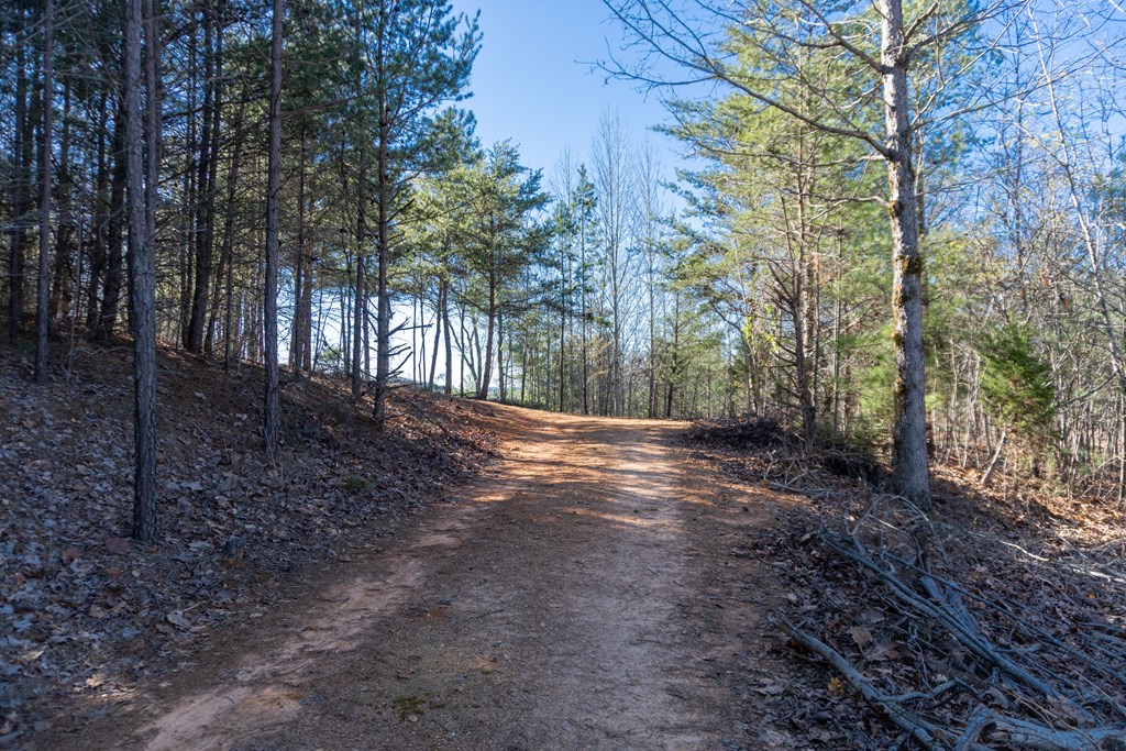41-ac Loving Road Morganton, GA 30560 - Photo 24 of 29 a view of backyard with green space