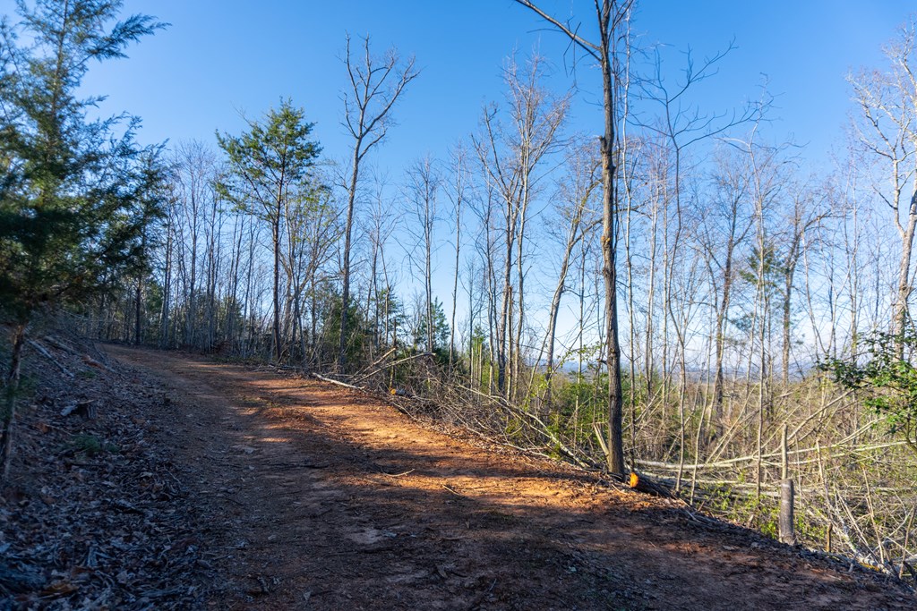41-ac Loving Road Morganton, GA 30560 - Photo 27 of 29 a view of backyard with green space