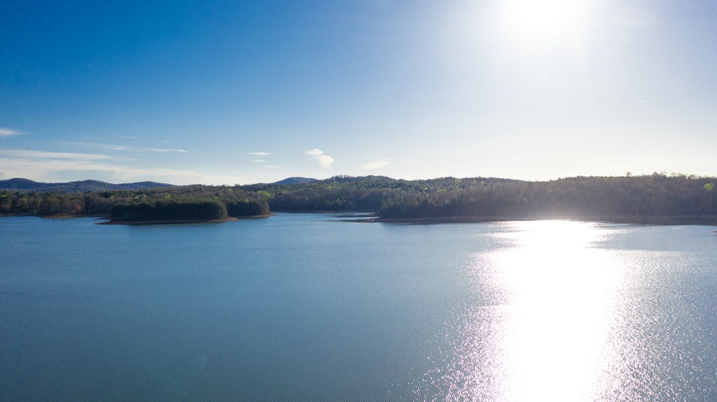 41-ac Loving Road Morganton, GA 30560 - Photo 29 of 29 a view of lake view and mountain