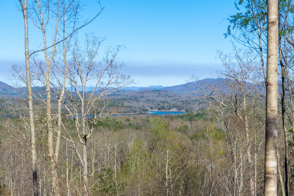 41-ac Loving Road Morganton, GA 30560 - Photo 4 of 29 a view of a lake with a mountain in the back