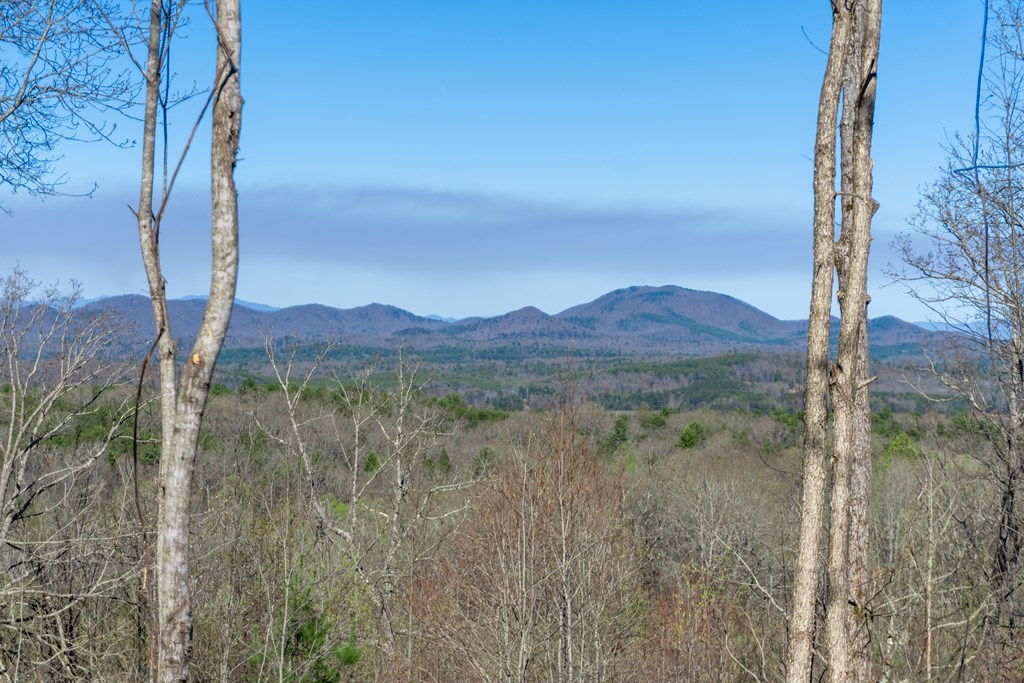 41-ac Loving Road Morganton, GA 30560 - Photo 5 of 29 a view of lake with mountain