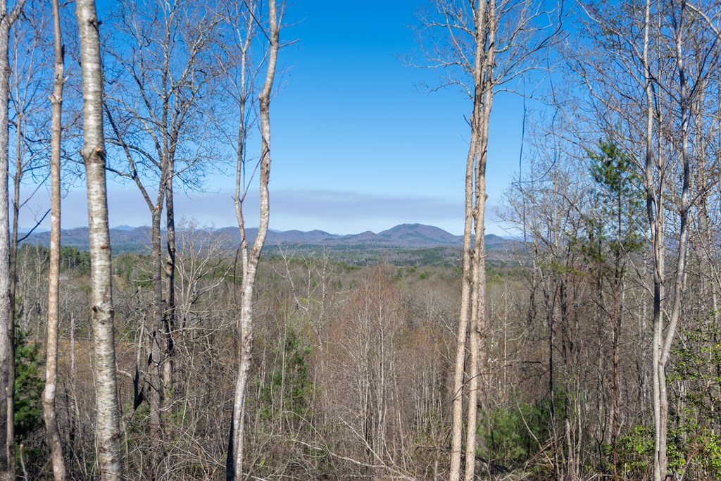 41-ac Loving Road Morganton, GA 30560 - Photo 6 of 29 a view of a lake view