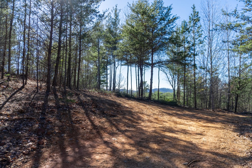 41-ac Loving Road Morganton, GA 30560 - Photo 7 of 29 a view of backyard with green space