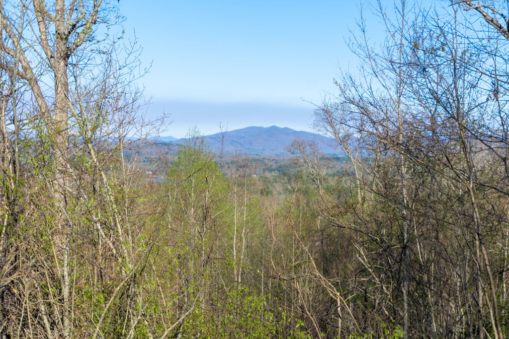 41-ac Loving Road Morganton, GA 30560 - Photo 9 of 29 a view of a yard with a mountain