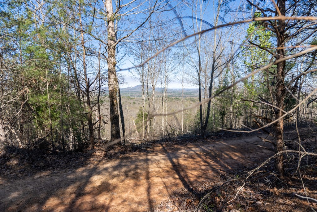 41-ac Loving Road Morganton, GA 30560 - Photo 10 of 29 a view of a backyard of the house