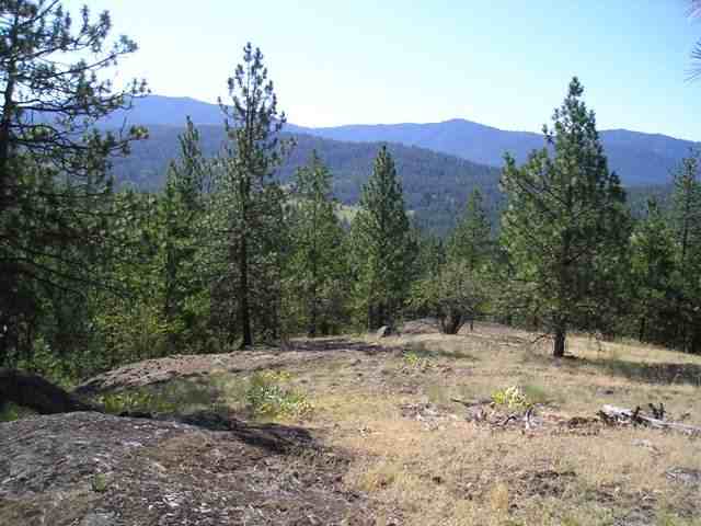 Xxx Arden Butte Road Colville, WA 99114 - Photo 1 of 9 Gallery Image 1