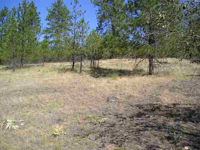 Xxx Arden Butte Road Colville, WA 99114 - Photo 3 of 9 Gallery Image 3