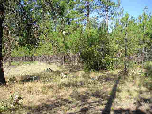 Xxx Arden Butte Road Colville, WA 99114 - Photo 4 of 9 Gallery Image 4
