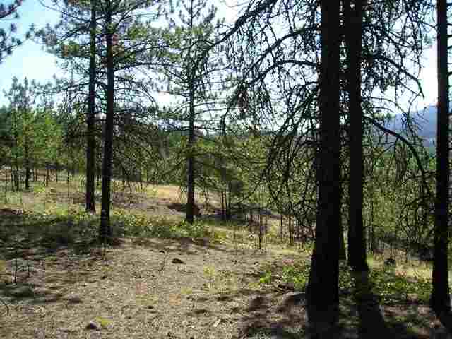 Xxx Arden Butte Road Colville, WA 99114 - Photo 5 of 9 Gallery Image 5