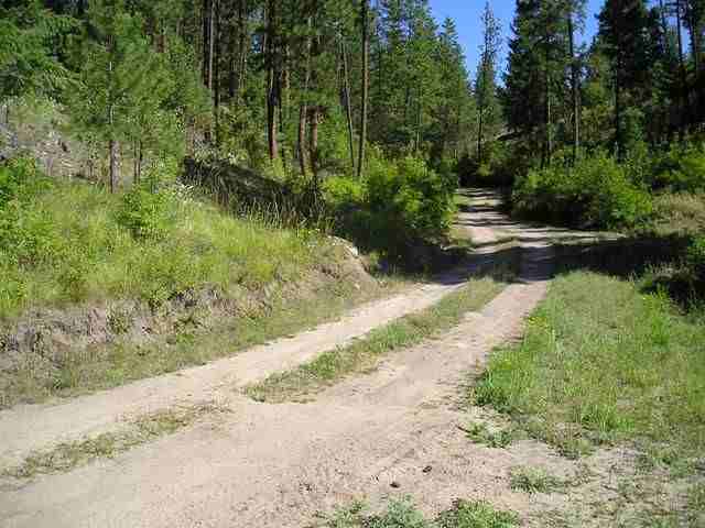 Xxx Arden Butte Road Colville, WA 99114 - Photo 6 of 9 Gallery Image 6