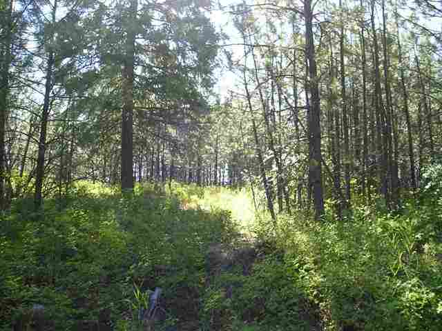 Xxx Arden Butte Road Colville, WA 99114 - Photo 7 of 9 Gallery Image 7